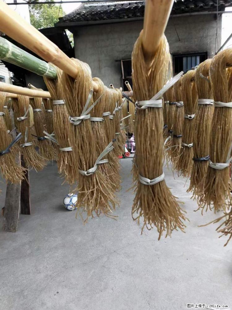 【灌阳正宗红薯粉】美女家里自己做的，干净卫生，假一赔十，价格合理，抢购电话：13737312895 - 美食天地 - 泉州生活社区 - 泉州28生活网 qz.28life.net