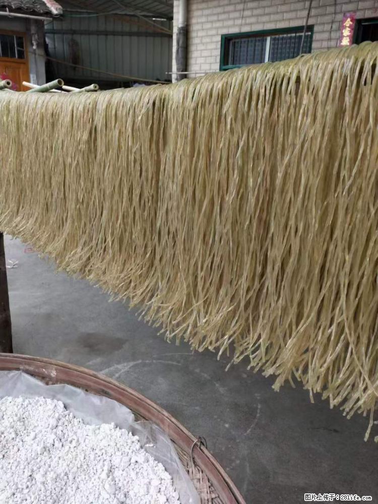 【灌阳正宗红薯粉】美女家里自己做的，干净卫生，假一赔十，价格合理，抢购电话：13737312895 - 美食天地 - 泉州生活社区 - 泉州28生活网 qz.28life.net