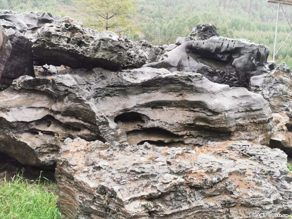 风景石、假山石大量有货，有需要的欢迎联系 - 新手上路 - 泉州生活社区 - 泉州28生活网 qz.28life.net