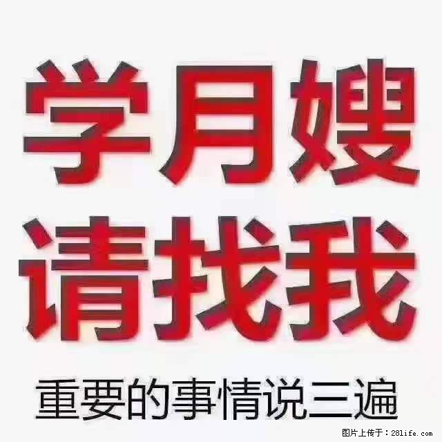 为什么要学习月嫂，育婴师？ - 其他广告 - 广告专区 - 泉州分类信息 - 泉州28生活网 qz.28life.net