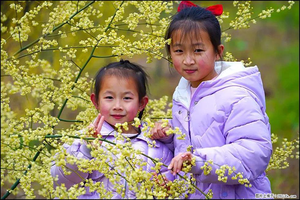 【春天，广西桂林灌阳县向您发出邀请！】米珠山前有片山苍子花在飘香 - 游山玩水 - 泉州生活社区 - 泉州28生活网 qz.28life.net