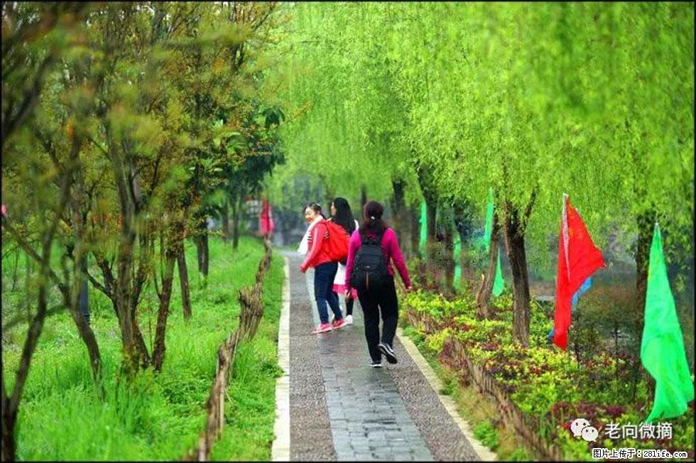 【春天，广西桂林灌阳县向您发出邀请！】江口老街又逢春 - 游山玩水 - 泉州生活社区 - 泉州28生活网 qz.28life.net