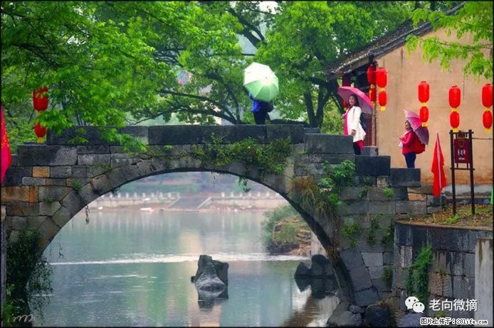 【春天，广西桂林灌阳县向您发出邀请！】江口老街又逢春 - 游山玩水 - 泉州生活社区 - 泉州28生活网 qz.28life.net