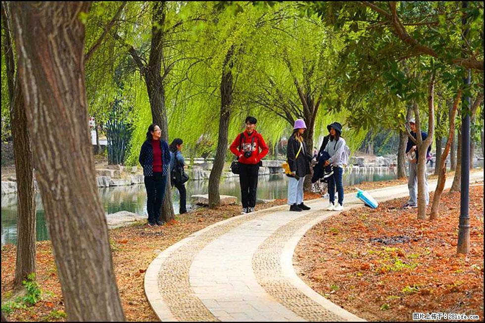 【春天，广西桂林灌阳县向您发出邀请！】江口老街又逢春 - 游山玩水 - 泉州生活社区 - 泉州28生活网 qz.28life.net