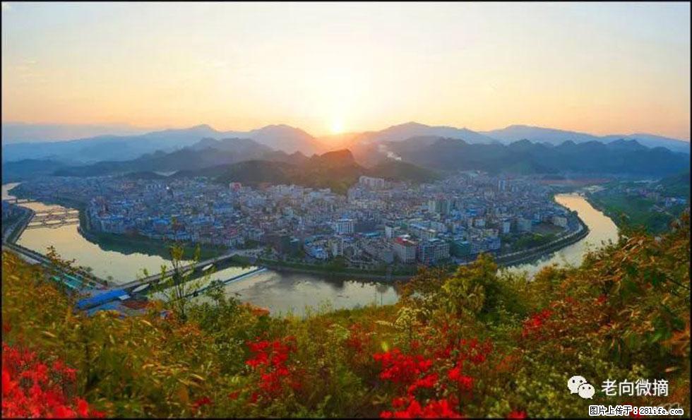 【春天，广西桂林灌阳县向您发出邀请！】登麒麟山，相约映山红 - 游山玩水 - 泉州生活社区 - 泉州28生活网 qz.28life.net