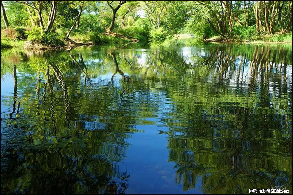 【春天，广西桂林灌阳县向您发出邀请！】熊家寨湿地公园 - 游山玩水 - 泉州生活社区 - 泉州28生活网 qz.28life.net