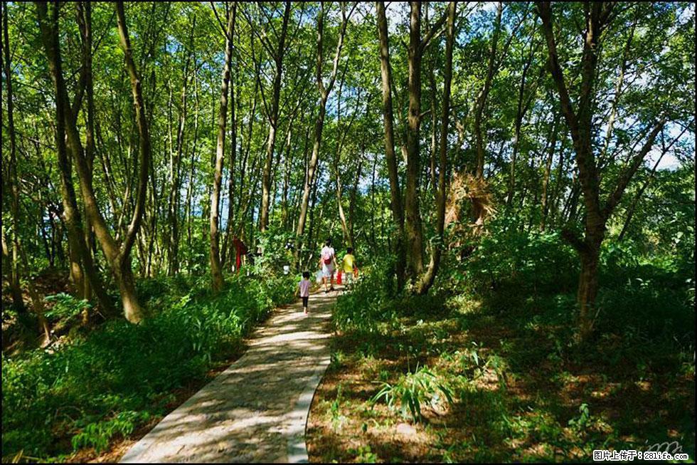 【春天，广西桂林灌阳县向您发出邀请！】熊家寨湿地公园 - 游山玩水 - 泉州生活社区 - 泉州28生活网 qz.28life.net
