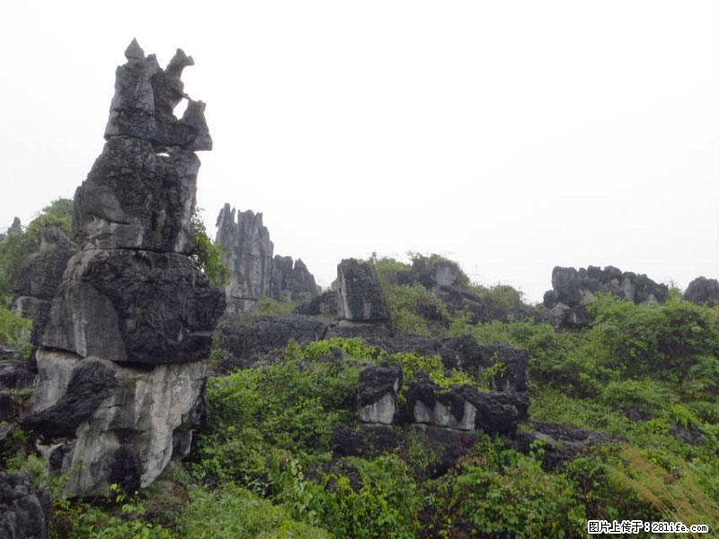 桂林旅游名城景点：灌阳文市石林 - 游山玩水 - 泉州生活社区 - 泉州28生活网 qz.28life.net