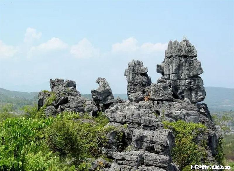 桂林旅游名城景点：灌阳文市石林 - 游山玩水 - 泉州生活社区 - 泉州28生活网 qz.28life.net