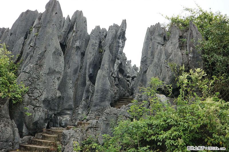 桂林旅游名城景点：灌阳文市石林 - 游山玩水 - 泉州生活社区 - 泉州28生活网 qz.28life.net