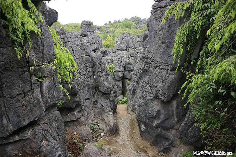 桂林旅游名城景点：灌阳文市石林 - 游山玩水 - 泉州生活社区 - 泉州28生活网 qz.28life.net