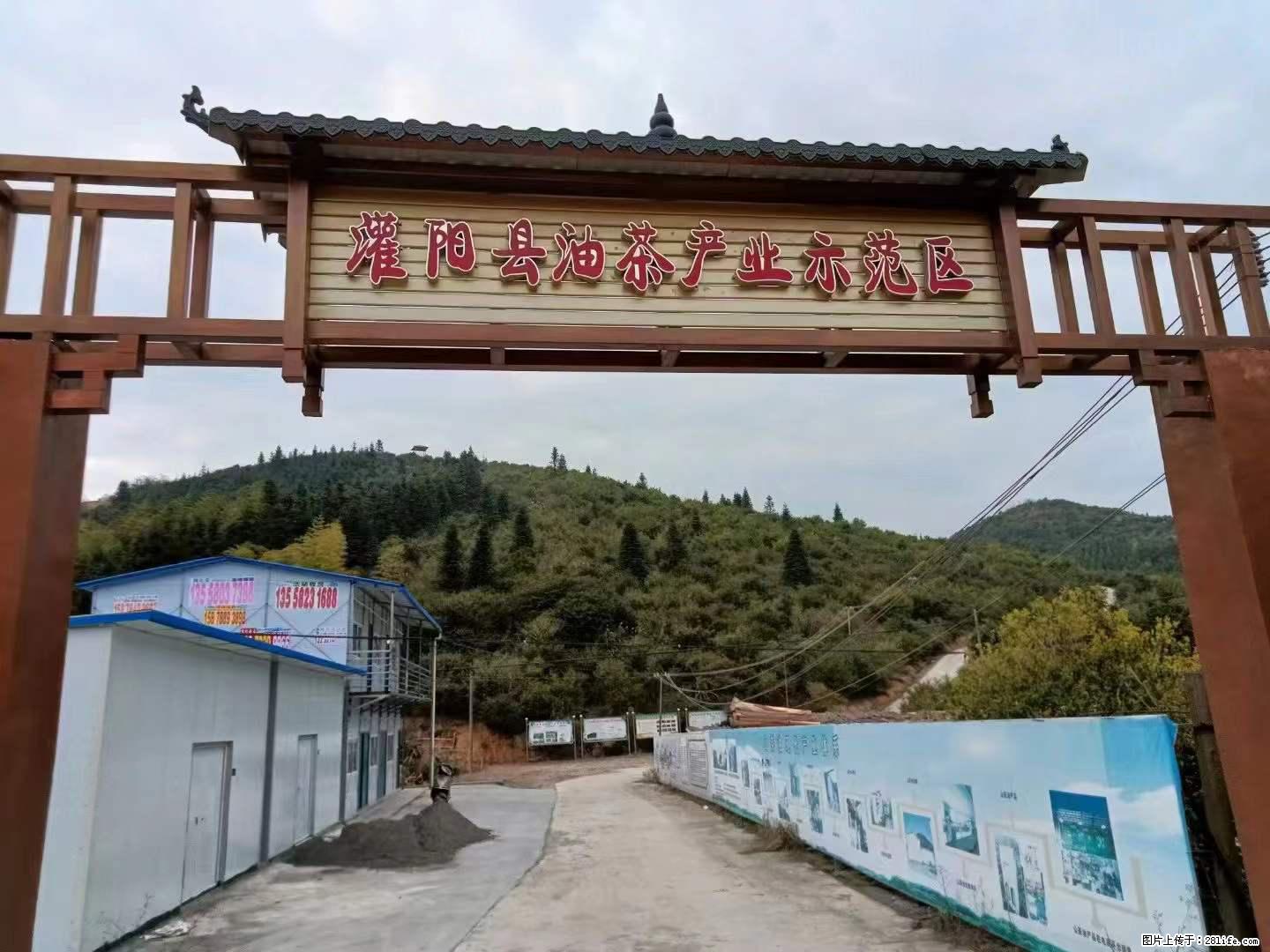 【灌阳县油茶产业示范区】一个有着充实的精神生活的人，对待身外之物自会有一种淡泊的态度 - 美食天地 - 泉州生活社区 - 泉州28生活网 qz.28life.net