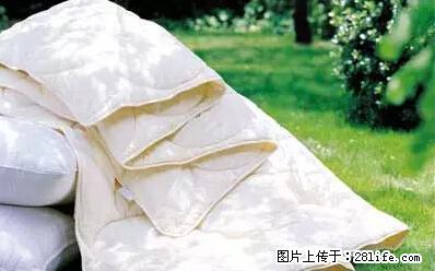 被子有异味？只要这样做，比晒太阳还强100倍！ - 家居生活 - 泉州生活社区 - 泉州28生活网 qz.28life.net