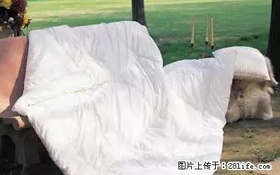 被子有异味？只要这样做，比晒太阳还强100倍！ - 家居生活 - 泉州生活社区 - 泉州28生活网 qz.28life.net