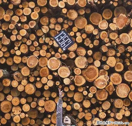辞掉工作周游世界？现在他们在洗厕所…… - 游山玩水 - 泉州生活社区 - 泉州28生活网 qz.28life.net