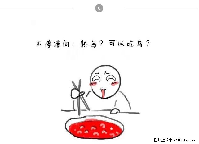 千万不要和这9种哈卵一起吃火锅！ - 美食天地 - 泉州生活社区 - 泉州28生活网 qz.28life.net