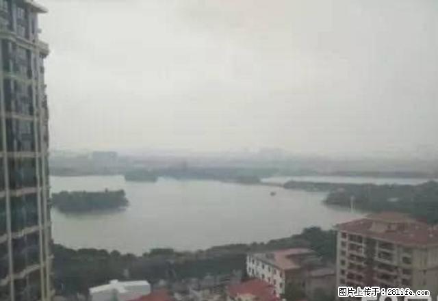 开元盛世对面 精装三房 带3个大露台 中楼层 可看房 - 房屋出租 - 房屋租售 - 泉州分类信息 - 泉州28生活网 qz.28life.net