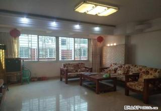 东街崇福路附小旁 崇福商业大厦 精装3房配套齐全采光好空间大 - 泉州28生活网 qz.28life.net