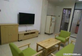 新门街 芳草园 第三实小旁 优质3房配套齐全 仅租2500 - 泉州28生活网 qz.28life.net