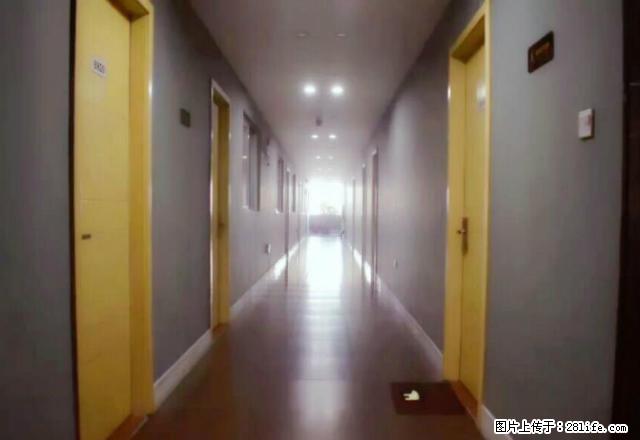 浮桥丽景精装公寓招租 - 房屋出租 - 房屋租售 - 泉州分类信息 - 泉州28生活网 qz.28life.net