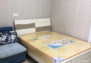 湖心街建德花园边精装电梯房全新公寓 的屋美价廉 - 泉州28生活网 qz.28life.net