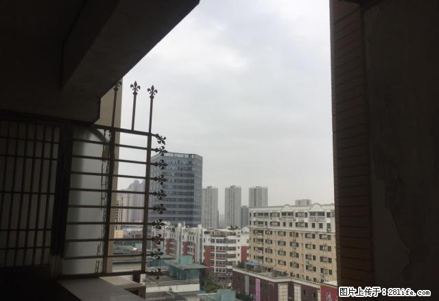 阳光丽景单身公寓1600元，拎包入住家电齐全交通便利，电梯房 - 房屋出租 - 房屋租售 - 泉州分类信息 - 泉州28生活网 qz.28life.net