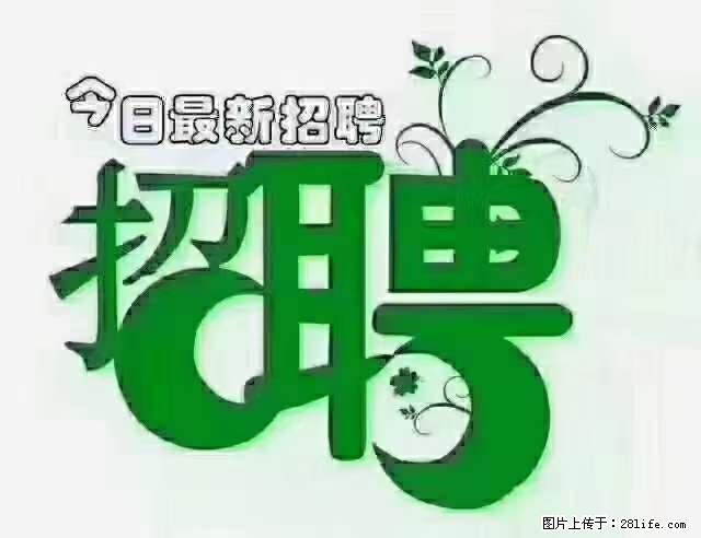上海隔离酒店招人：55岁以下 男女不限 - 职场交流 - 泉州生活社区 - 泉州28生活网 qz.28life.net