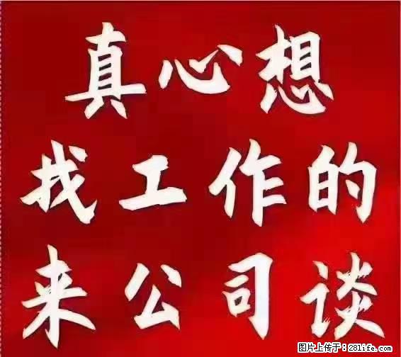 【上海】国企，医院招两名男保安，55岁以下，身高1.7米以上，无犯罪记录不良嗜好 - 职场交流 - 泉州生活社区 - 泉州28生活网 qz.28life.net