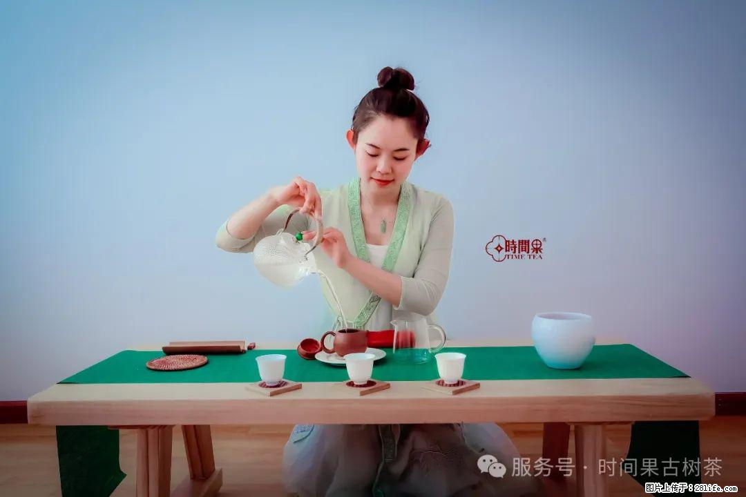 时间果百年古树龙珠普洱生茶 - 购物交流 - 泉州生活社区 - 泉州28生活网 qz.28life.net