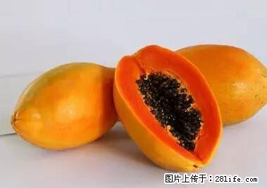 晕车、脚气、牙齿变黄、皮肤粗糙？学会这些三分钟搞定！ - 泉州生活资讯 - 泉州28生活网 qz.28life.net