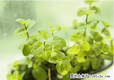 晕车、脚气、牙齿变黄、皮肤粗糙？学会这些三分钟搞定！ - 泉州生活资讯 - 泉州28生活网 qz.28life.net