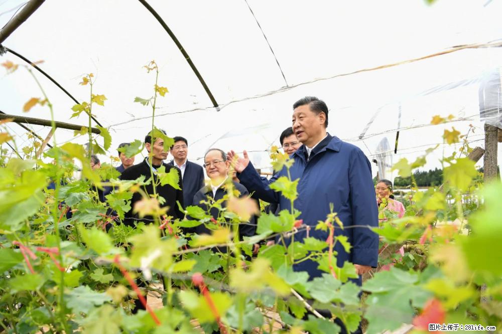 习近平赴广西考察调研 - 泉州生活资讯 - 泉州28生活网 qz.28life.net