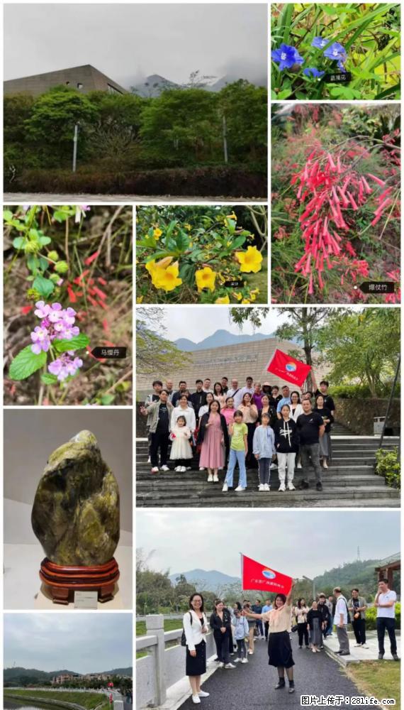 “粤灌文化 美好生活”油茶文化主题活动在广东深圳成功举办 - 泉州生活资讯 - 泉州28生活网 qz.28life.net