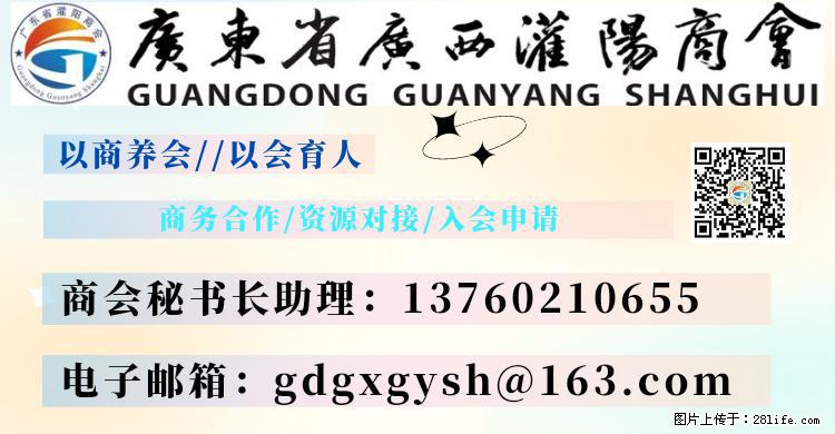 “粤灌文化 美好生活”油茶文化主题活动在广东深圳成功举办 - 泉州生活资讯 - 泉州28生活网 qz.28life.net