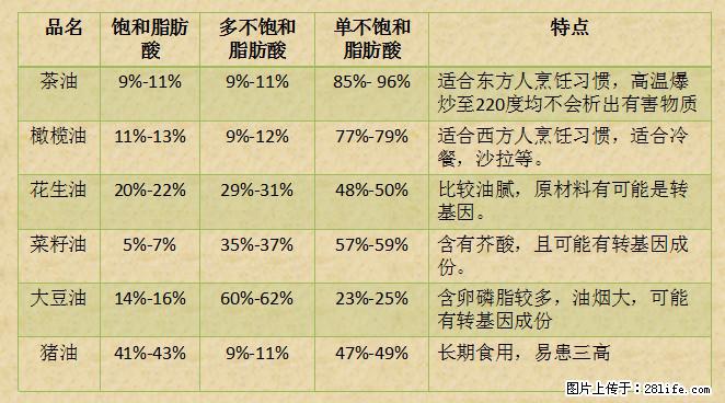 揭秘茶油的5大核心营养成分！被称为人体健康的“守护盾”！ - 泉州生活资讯 - 泉州28生活网 qz.28life.net