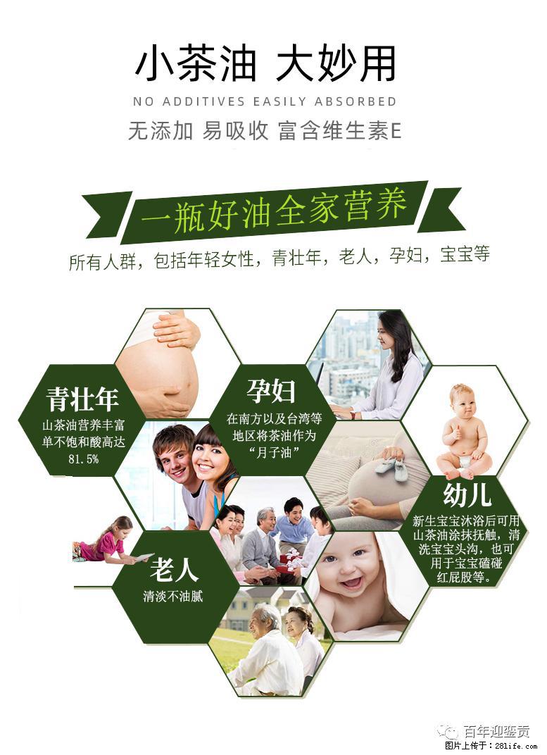世界没有真相，只有认知，最好的食用油是中国的山茶油！ - 泉州生活资讯 - 泉州28生活网 qz.28life.net