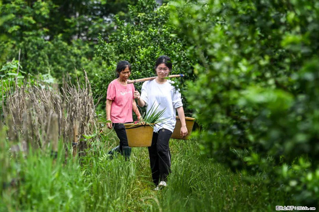 全网追的“扁担女孩”，找了一份暑假工，时薪12元 - 泉州生活资讯 - 泉州28生活网 qz.28life.net
