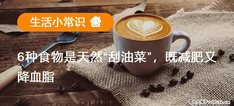 【生活小常识】6种食物是天然“刮油菜”，既减肥又降血脂 - 泉州生活资讯 - 泉州28生活网 qz.28life.net