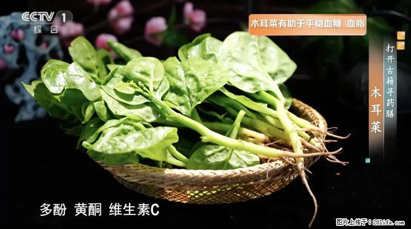 比牛奶补钙还厉害！凉血解毒、稳血糖...这菜冬天必吃，很多人却当草 - 泉州生活资讯 - 泉州28生活网 qz.28life.net