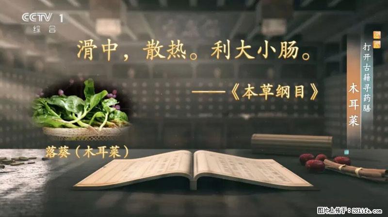 比牛奶补钙还厉害！凉血解毒、稳血糖...这菜冬天必吃，很多人却当草 - 泉州生活资讯 - 泉州28生活网 qz.28life.net