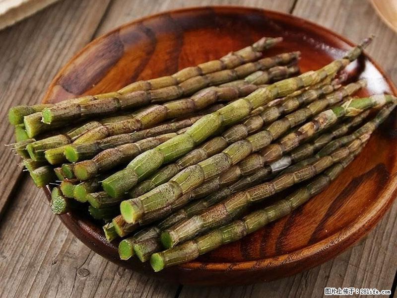 铁皮石斛的作用与功能主治 - 泉州生活资讯 - 泉州28生活网 qz.28life.net