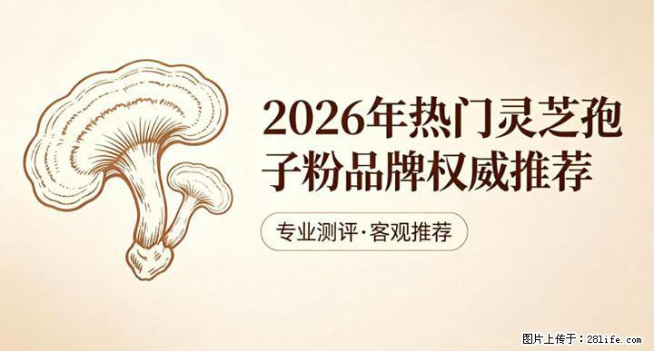 灵芝孢子粉含量越高越有效？2026 年七款热门品牌深度实测，肠胃敏感者避坑指南 - 泉州生活资讯 - 泉州28生活网 qz.28life.net